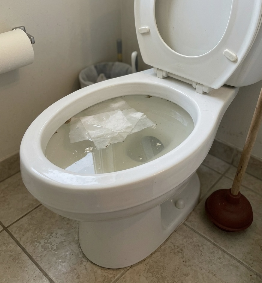 Blocked Toilets in St Neots